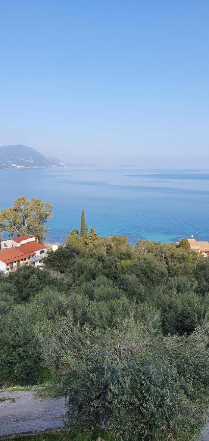 Olga's Agios Dimitrios (Corfu)