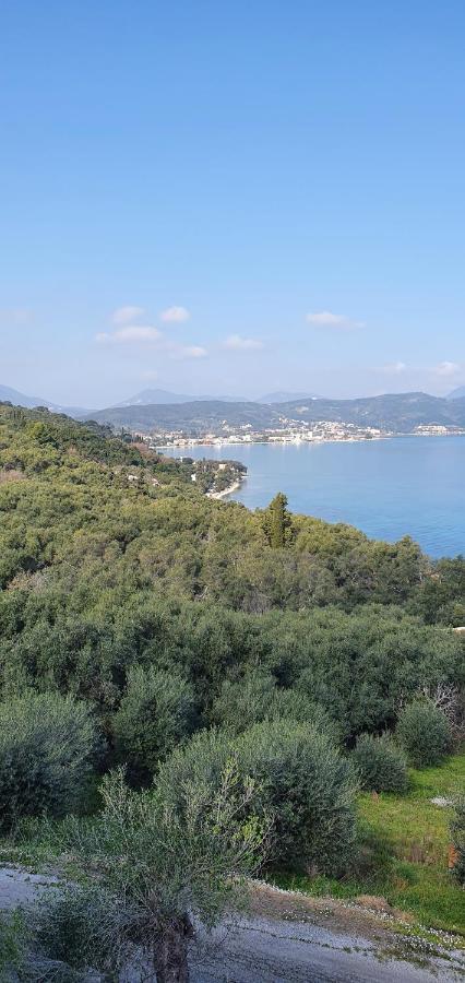 Olga's Agios Dimitrios (Corfu)