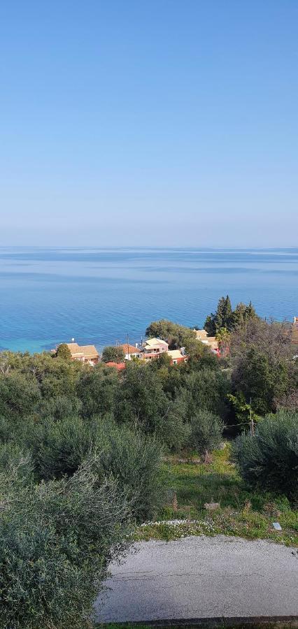 Olga's Agios Dimitrios (Corfu)