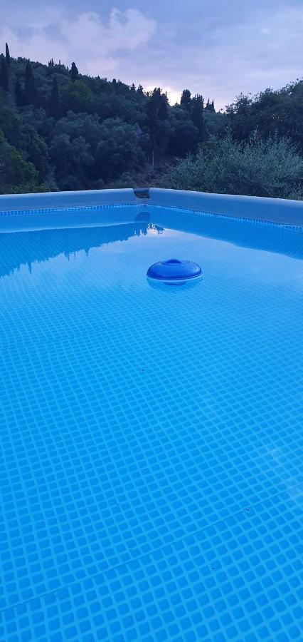Olga's Holiday home Agios Dimitrios (Corfu)